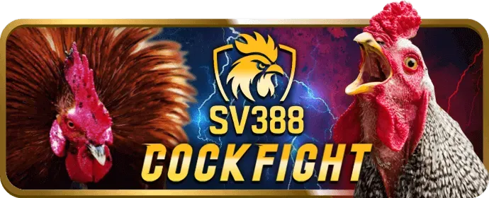 Đá gà VIP79