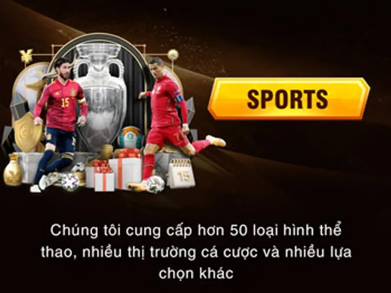 Cá cược Thể Thao tại VIP79